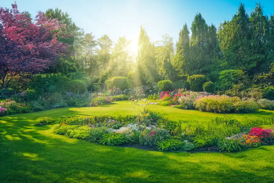 Custom Landscaping